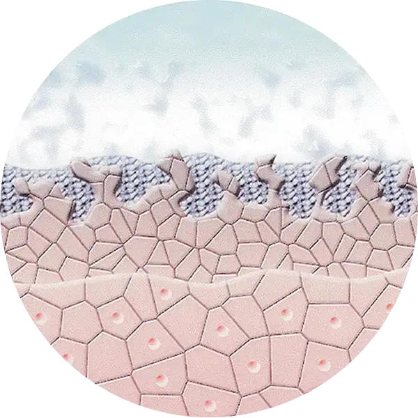Pre-Peel-Phase — Enzyme spalten die abgestorbenen Hautzellen
